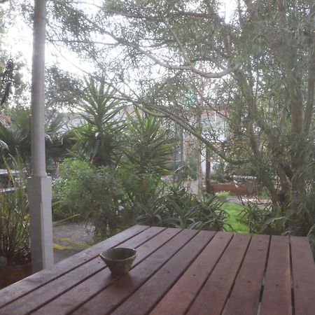 Oasis Accommodation Opotiki Εξωτερικό φωτογραφία